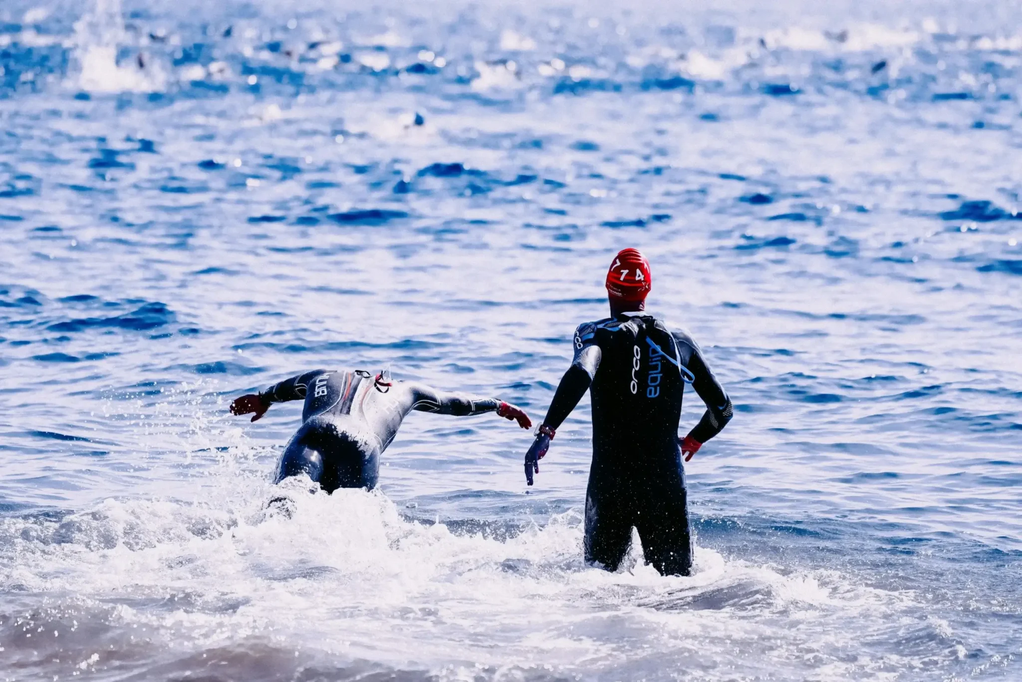 Ironman-deltagere under svømmesegmentet i åbent vand med våddragt og racefokus.