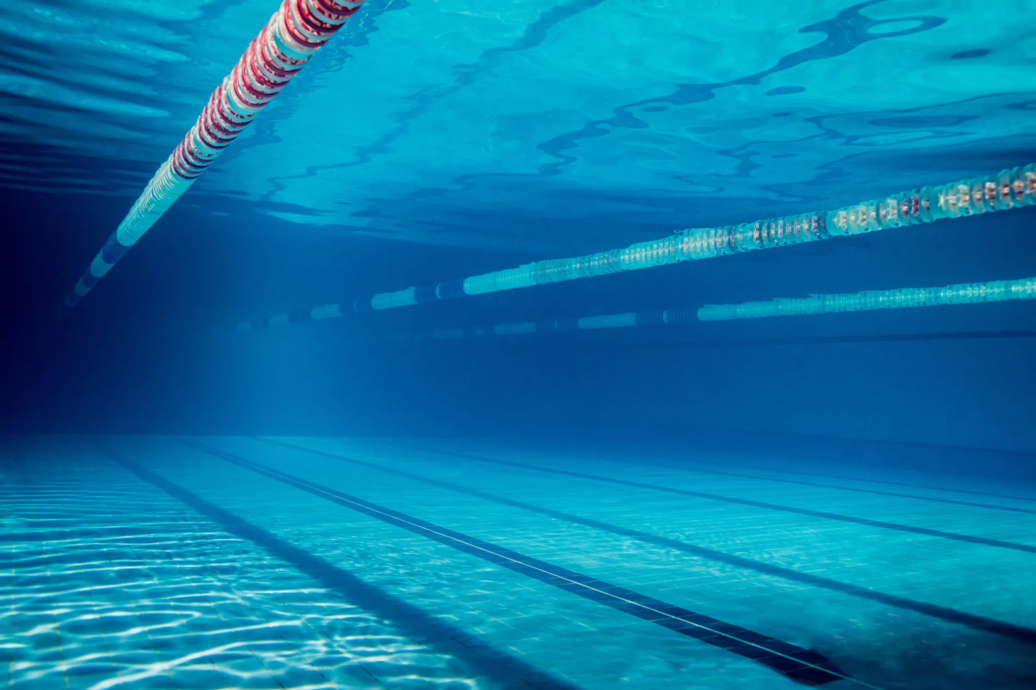 Svømmebassin - Coach Lykke Endurance Svømmebassin under vandet med baneliner – Pool School svømmetræning for triatleter